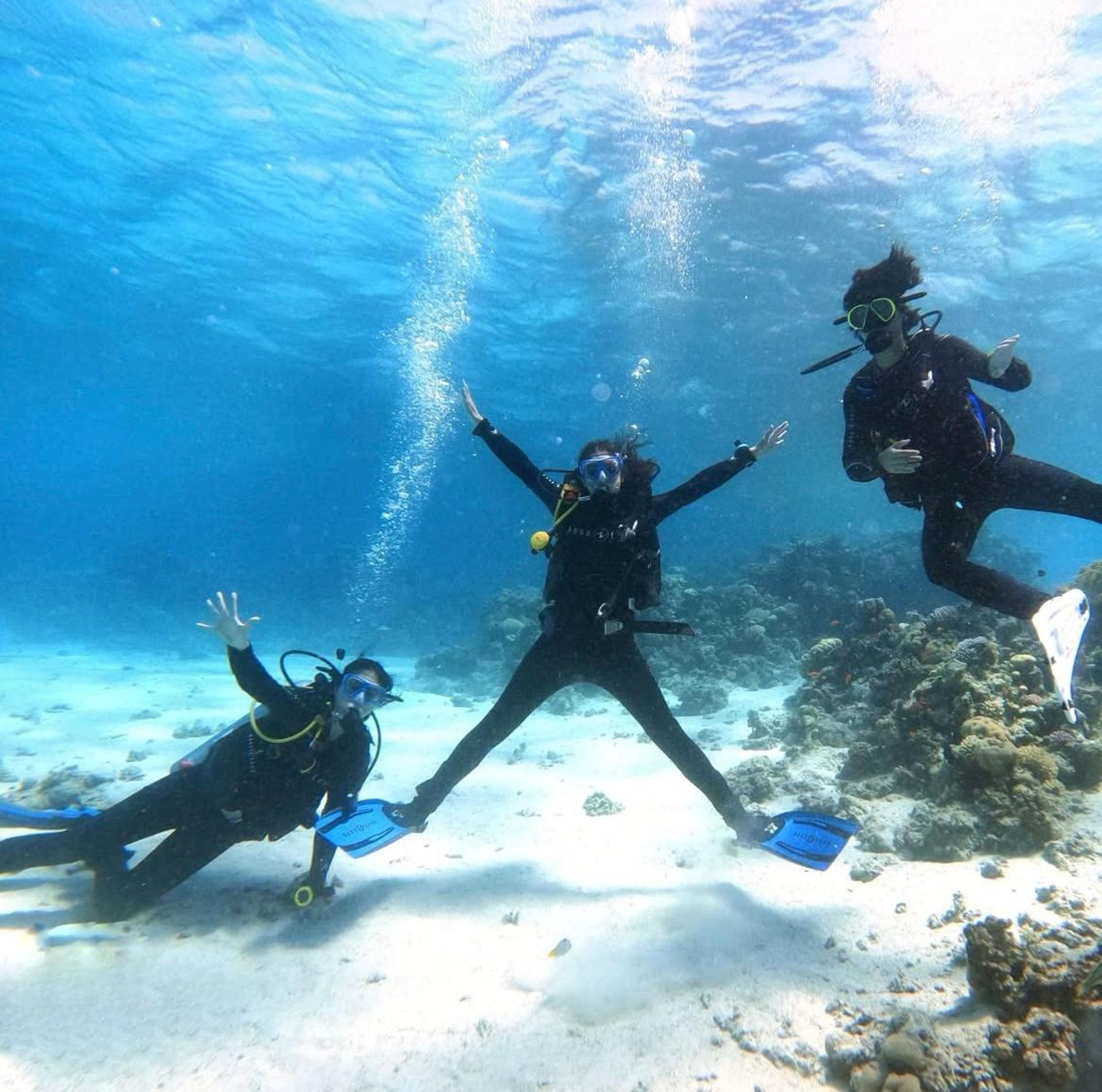 Marine life encounters