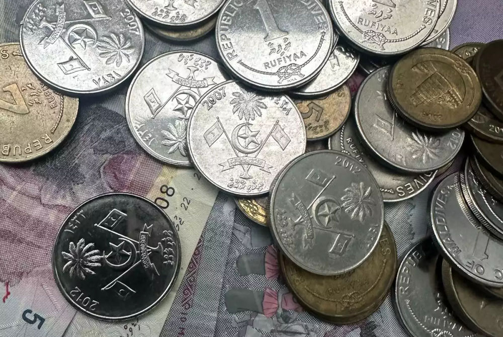 ބަޖެޓަށް ފައިސާ ހޯދަން 1.8