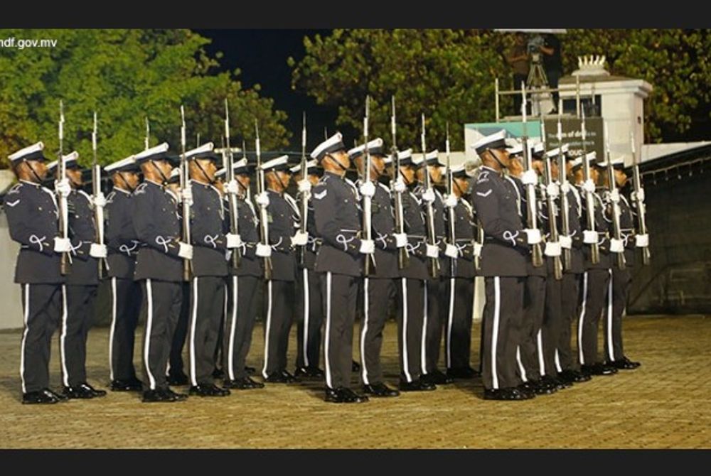 އެމްއެންޑީއެފް ހެވިކަމުގެ ހަރަކާތުގެ ތެރެއިން