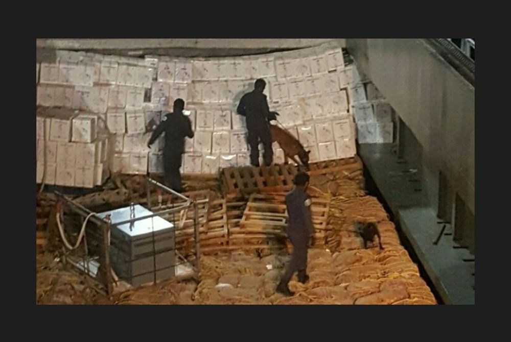 The operation was conducted by the Addu City Police, Police Intelligence and the K9 Dog Squad, with the assistance of the Maldives Customs Service.