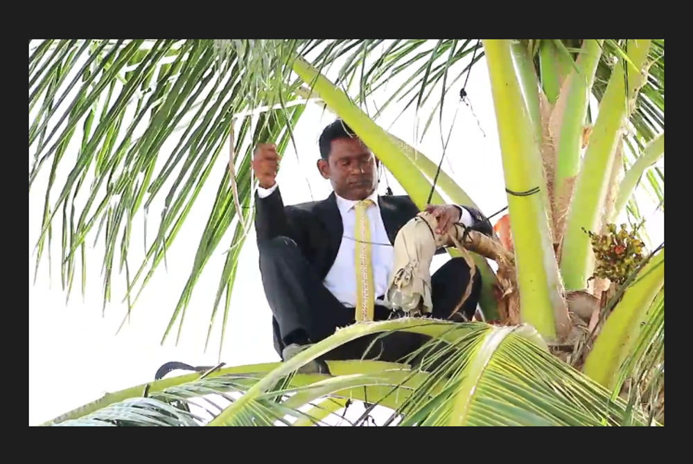  ގއ. ވިލިނގިއްޔަށް އުފަން ހަބީބު ހަސަން: ކައުންސިލް ހުވާ ކުރެއްވުމަށް ފަހު ކޯޓްފަޓްލޫނުގައި ރުކުގައި