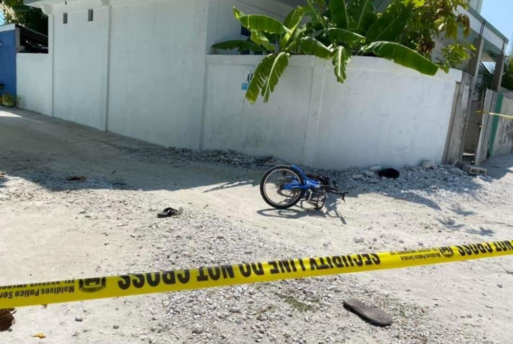 މުދިމަށް ހަމަލާދިން ސަރަހައްދު