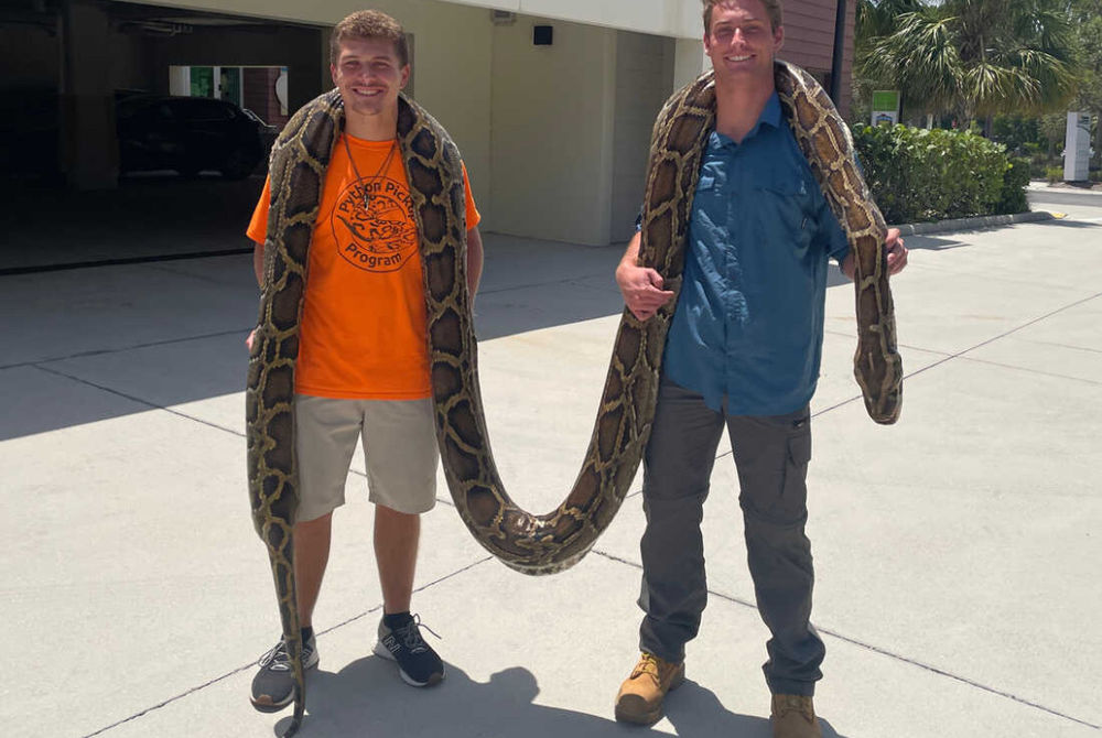 ބާމީޒް ޕައިތަންއާ ކުރިމަތިލި ދެމީހުން