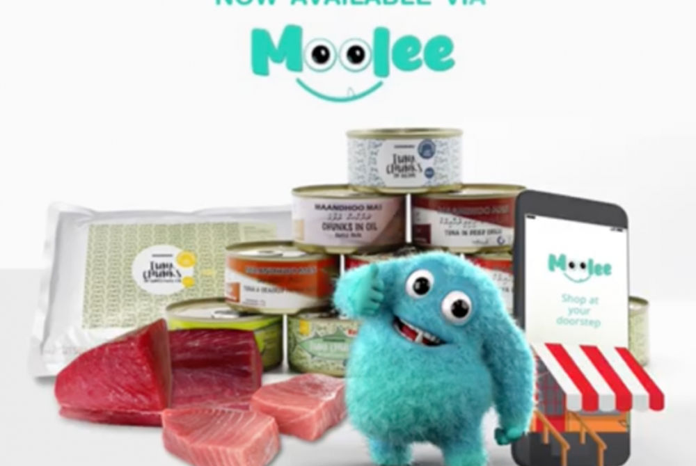 ހޮރައިޒަން ފިޝަރީޒުން މާންދޫ މަހުގެ ބާވަތްތައް ހިމަނައިގެން ހަދާފައިވާ ޕޯސްޓަރު