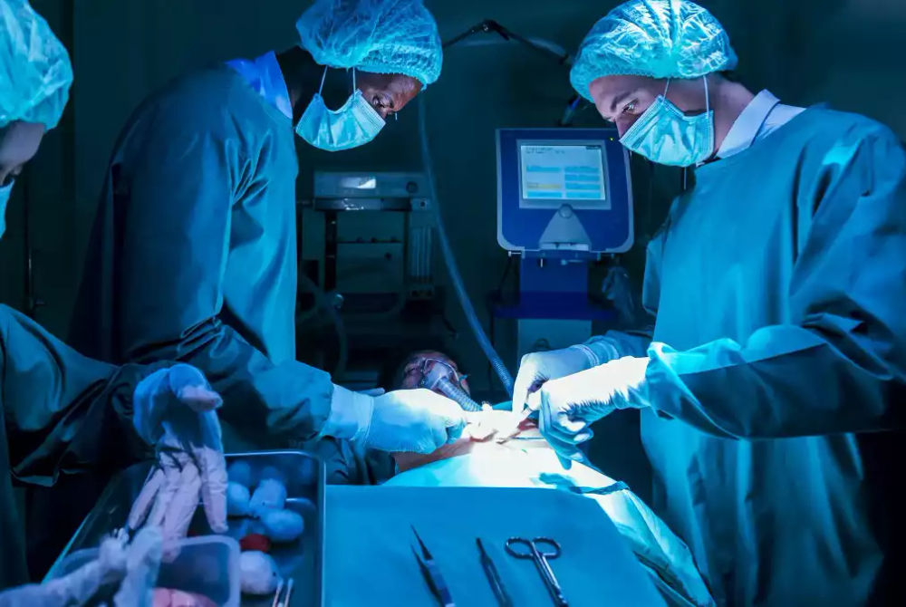 ގުނަވަން ޓްރާންސްޕްލާންޓް ކުރުމުގެ ސާޖަރީއެއްގެ ތެރެއިން 