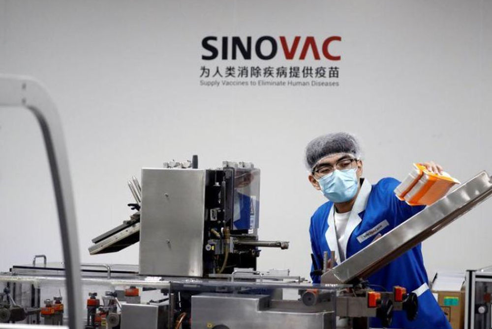 ސިނޯވެކް ވެކްސިން އުފެއްދުމުގެ މަސައްކަތްކުރަމުން ދަނީ