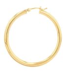 Hoop Earrings in 10K Yellow Gold