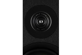 Polk Audio - Polk Reserve Series R500 Floorstanding Tower Speaker, New 1