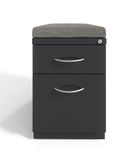 Hirsh - 20-inch Deep Mobile Pedestal File 2-Drawer Box-File with Arch Pull and Seat Cushion, Charco