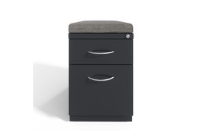 Hirsh - 20-inch Deep Mobile Pedestal File 2-Drawer Box-File with Arch Pull and Seat Cushion, Charco