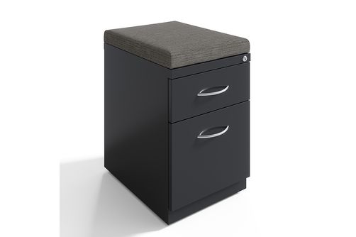 Hirsh - 20-inch Deep Mobile Pedestal File 2-Drawer Box-File with Arch Pull and Seat Cushion, Charco