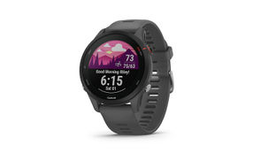 Garmin - Forerunner 255 GPS Smartwatch 46 mm Fiber-reinforced polymer - Slate Gray