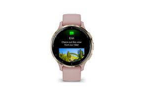 Garmin - Venu 3S GPS Smartwatch 41 mm Fiber-reinforced polymer - Stainless Steel and Dust Rose