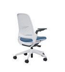 Steelcase - Series 1 Air Chair with Seagull Frame - Era Cobalt / Seagull Frame