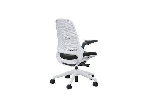 Steelcase - Series 1 Air Chair with Seagull Frame - Era Onyx / Seagull Frame