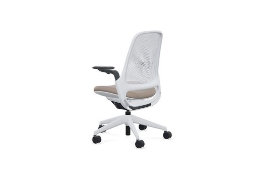 Steelcase - Series 1 Air Chair with Seagull Frame - Era Truffle / Seagull Frame