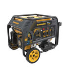 Firman Hybrid Series H03651 3650/4550 Watt Dual Fuel Generator