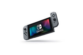 Nintendo Switch Bundle with Gray Joy-Con- Alternate Image