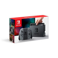 Nintendo Switch Bundle with Gray Joy-Con
