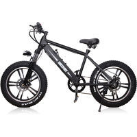 NAKTO 20 Inch Discovery Fat-Tire Electric Bike