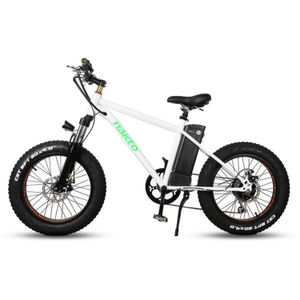 NAKTO 20 Inch White Mini Cruiser Fat Tire Electric Bike