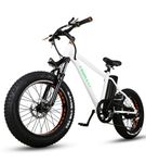 NAKTO 20 Inch White Mini Cruiser Fat Tire Electric Bike - Side Angle View