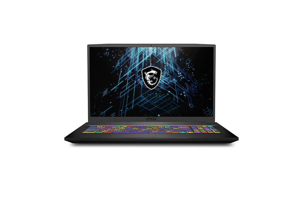 MSI 17.3 Inch  Intel Core i5-10300H Gaming Laptop 