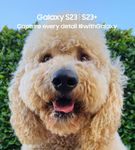 Samsung Galaxy S23 128GB Black - Image Detail