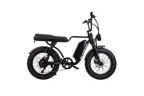 500W All-Purpose E-bike