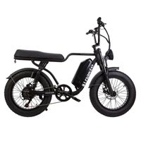 500W All-Purpose E-bike