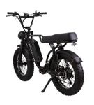 500W All-Purpose E-bike