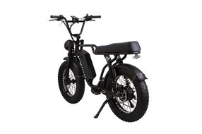 500W All-Purpose E-bike