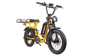 750w Ultimate Transportaion E Bike