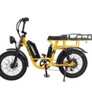 750w Ultimate Transportaion E Bike