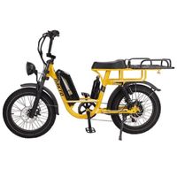 750w Ultimate Transportaion E Bike