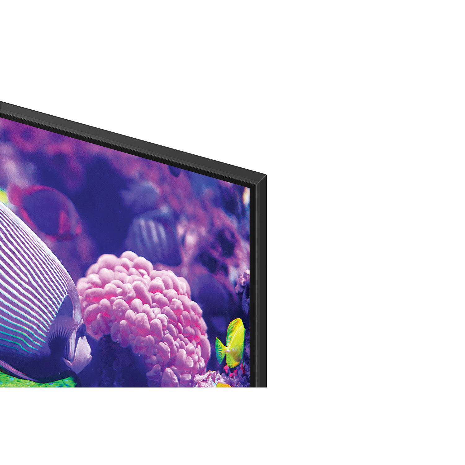 Rent-To-Own Samsung 50