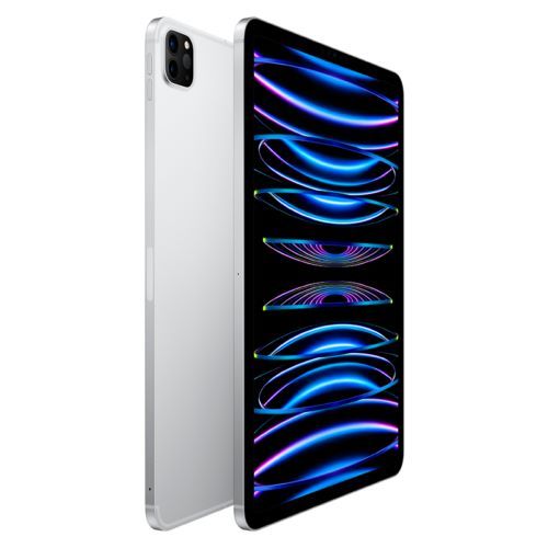 Rent-To-Own Apple iPad Pro 11