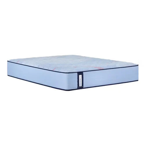 Rent-To-Own 2025 Sealy Posturepedic Dudley Firm King TT 13