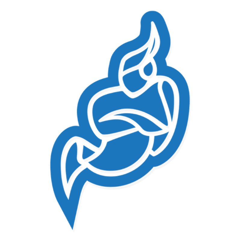 Jitsi for Video Functionality Integration