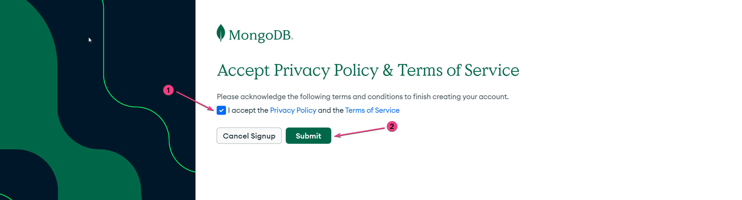 Accept the terms & policy and click on submit button