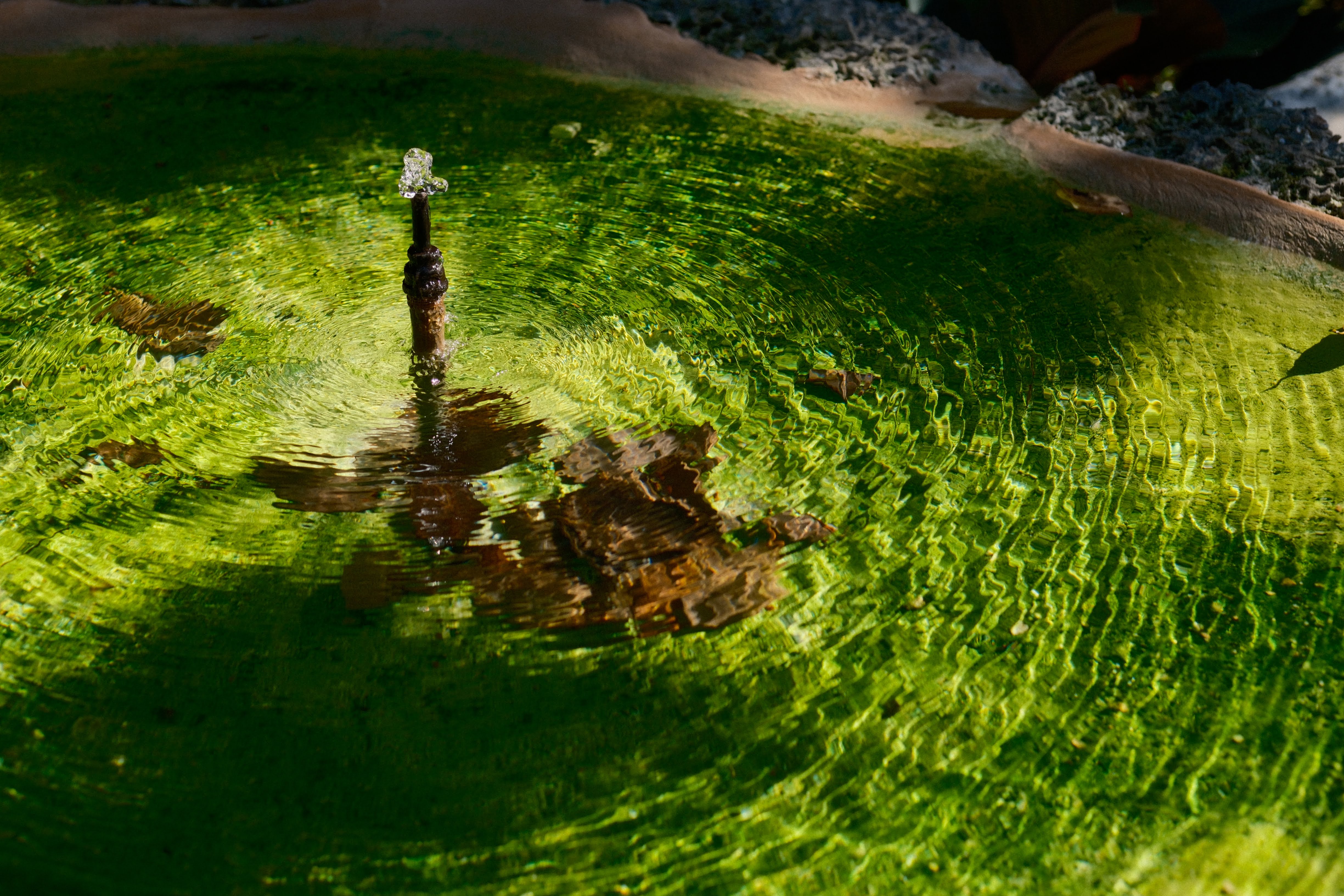 A green fountain showing easy flow of water