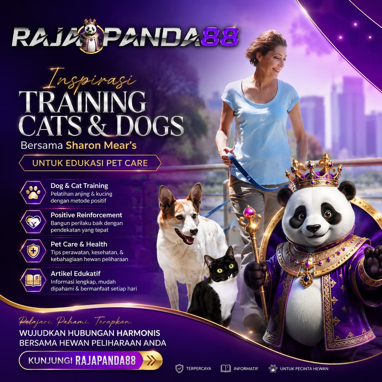 RAJAPANDA88 | Sharon Mear's Training Cats and Dogs untuk Edukasi Pet Care