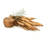 ASPARAGUS RACEMOSUS