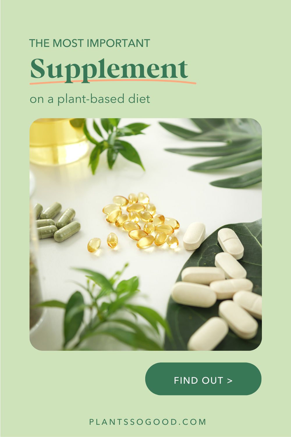 The 3 Supplements You Need | Part 1 of 3 | Vitamin B12