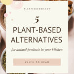 This image shows the Pinterest Pin for the blog post "Five Plant-Based Alternatives for Animal Products in Your Kitchen"
