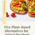 This image shows the Pinterest Pin for the blog post "Five Plant-Based Alternatives for Animal Products in Your Kitchen"