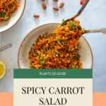 This image shows a Pinterest Pin for the recipe "Spicy Carrot Salad with Crunchy Masala Chickpeas"