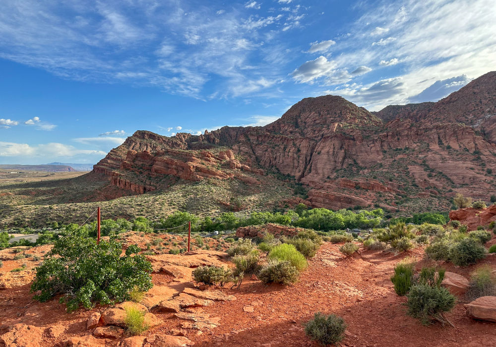 Image from our plant-based camping trip taken in Red Cliffs, Utah. Image shows red earth, small green shrubs, and large red rock cliffs in the background against a blue sky.