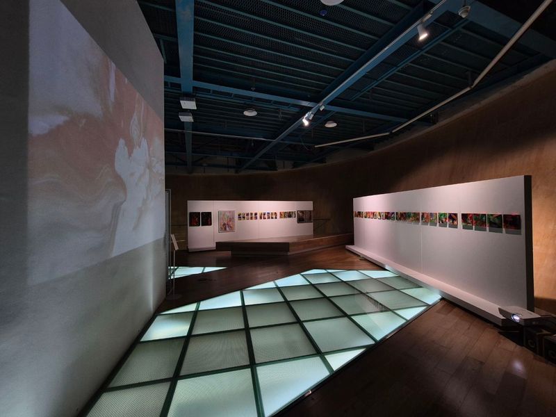 exhibitions