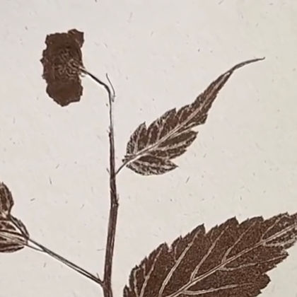 Ewha 이화 장연희 profile image